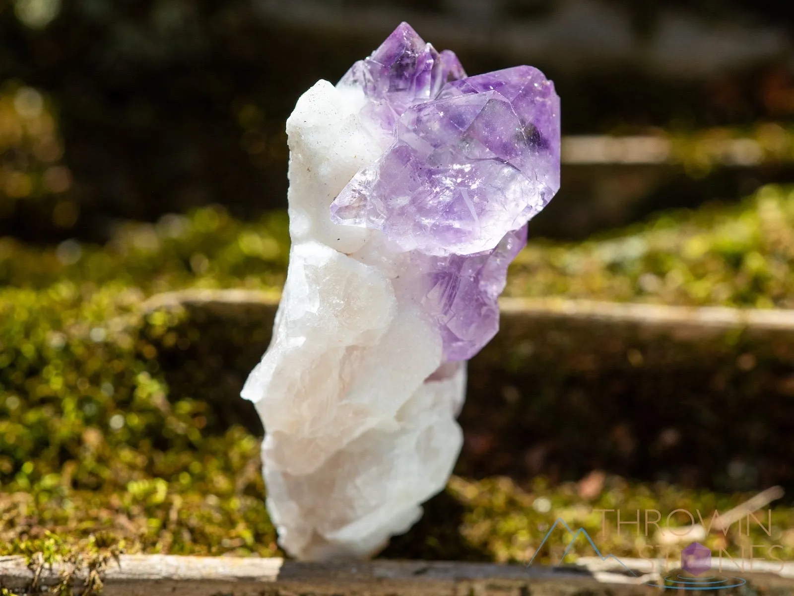 AMETHYST Raw Crystal Cluster - Birthstone, Unique Gift, Home Decor, Boho Decor, 39951