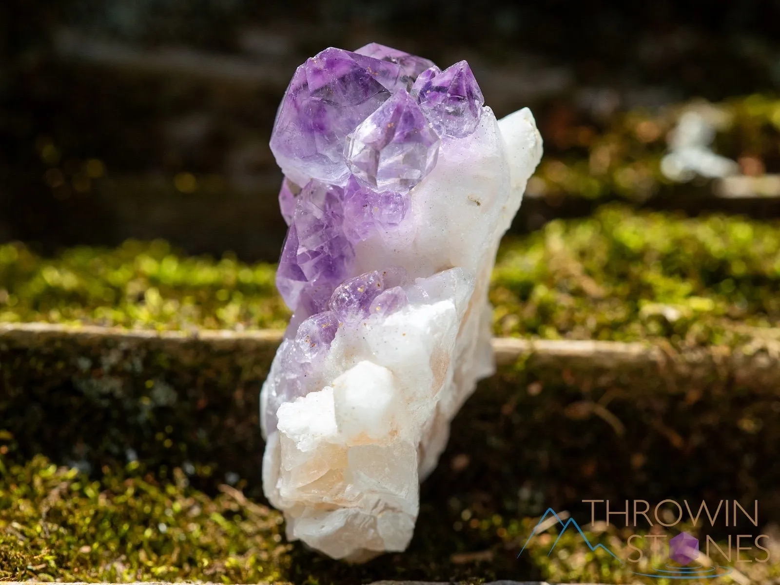 AMETHYST Raw Crystal Cluster - Birthstone, Unique Gift, Home Decor, Boho Decor, 39951