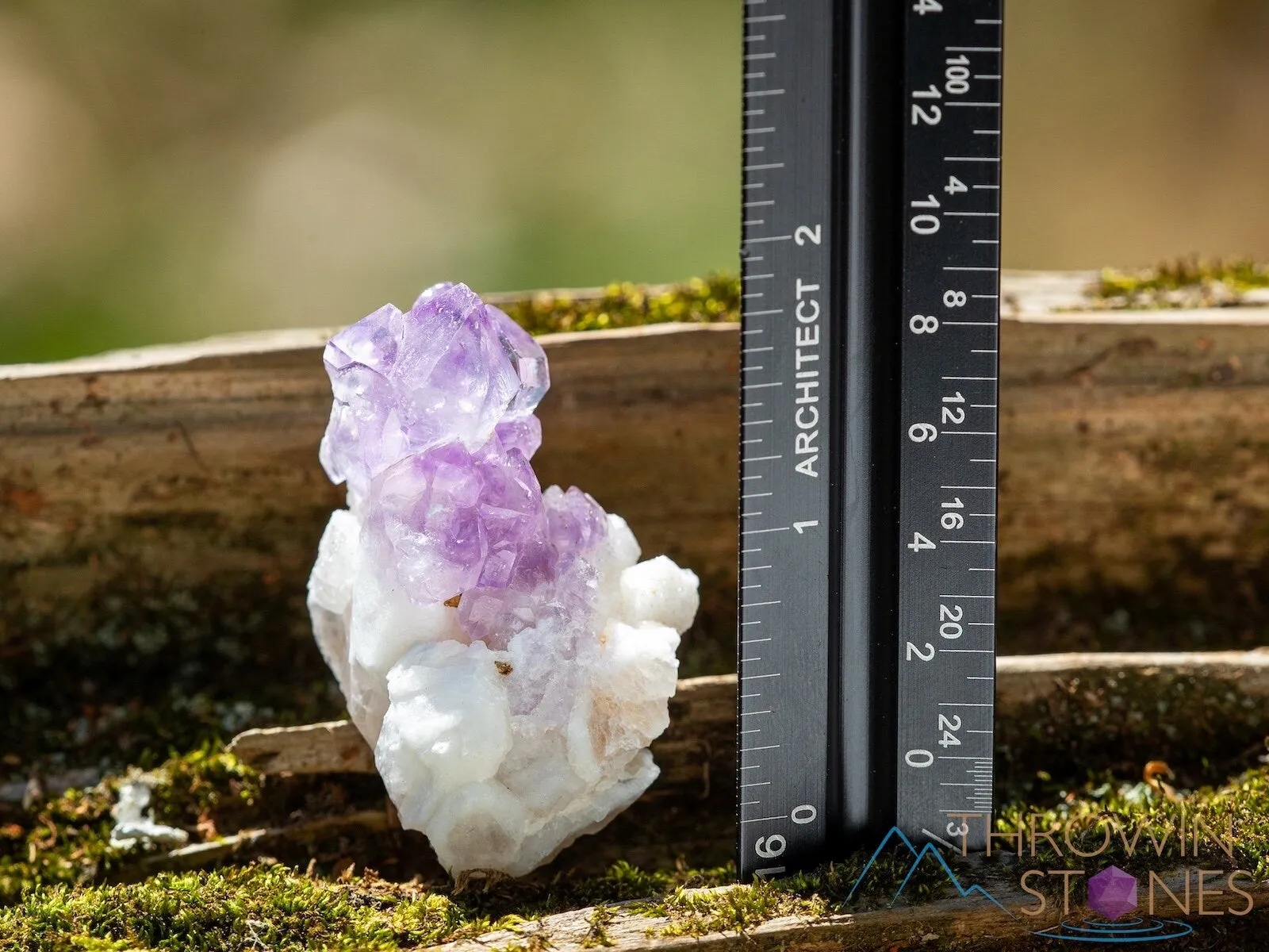 AMETHYST Raw Crystal Cluster - Birthstone, Unique Gift, Home Decor, Boho Decor, 39951