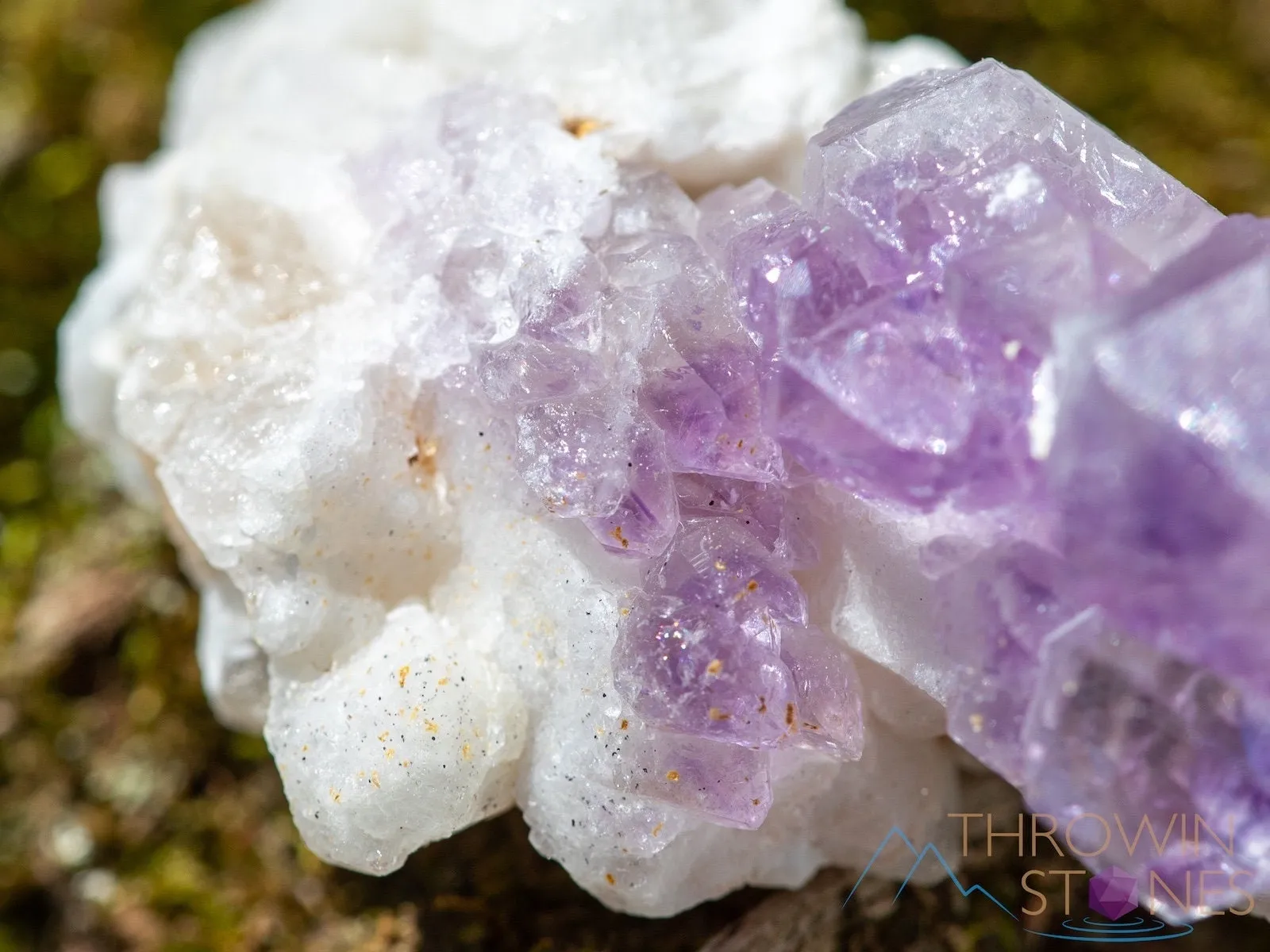 AMETHYST Raw Crystal Cluster - Birthstone, Unique Gift, Home Decor, Boho Decor, 39951