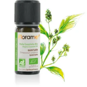 Essential oil, Camphor tree, 10 ml