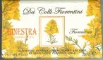 Nesti Dante Broom Soap (250gr/8.8oz)