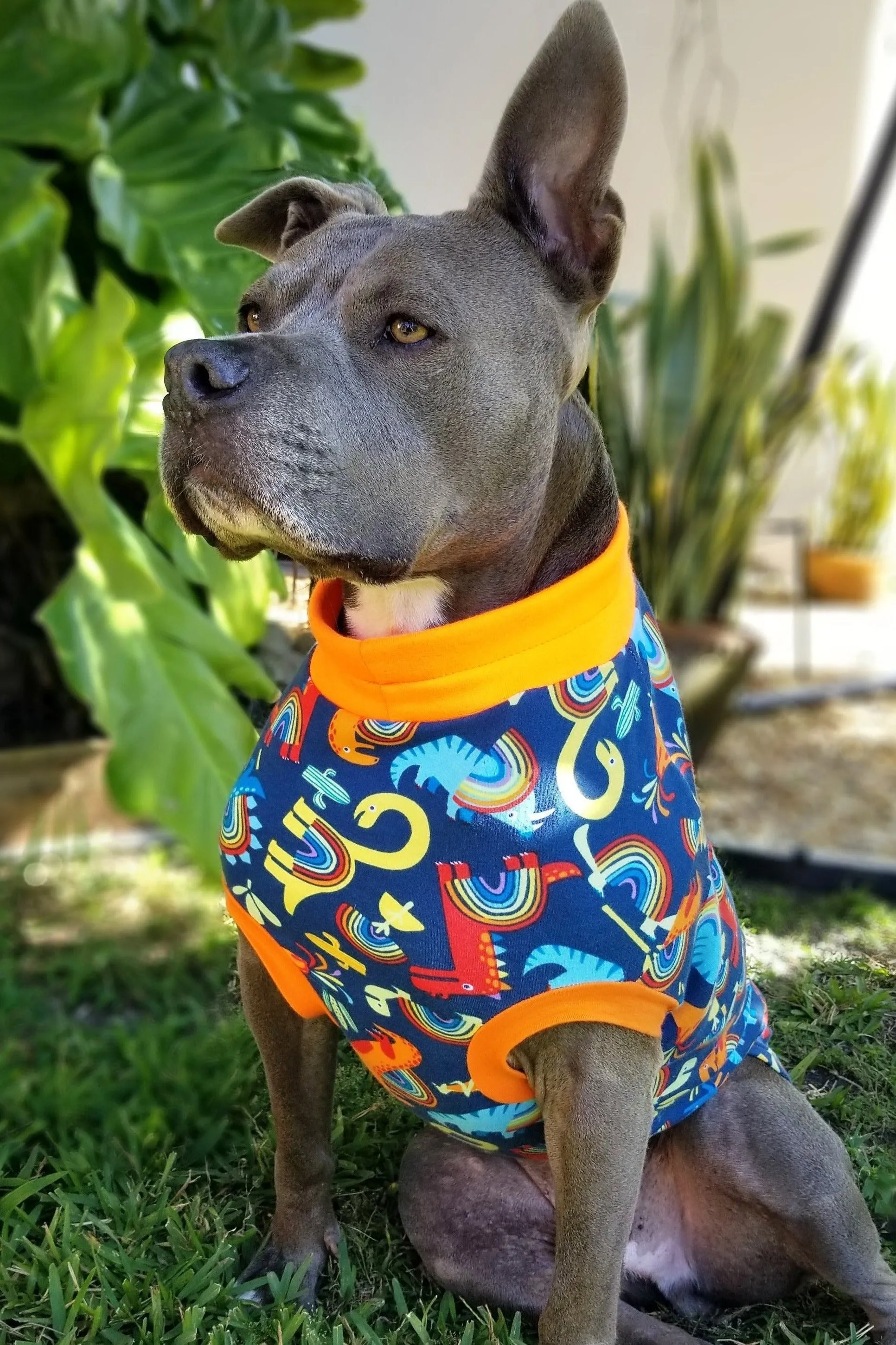 Rainbow Dinosaur Dog Pajamas